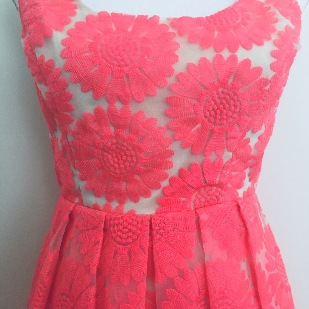 NWOT Pink Cream Floral Lace Embroidery Pleat Dress